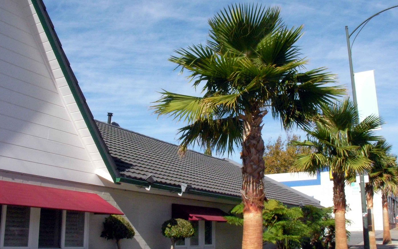 Chapel of the Highlands exterior with palm trees
