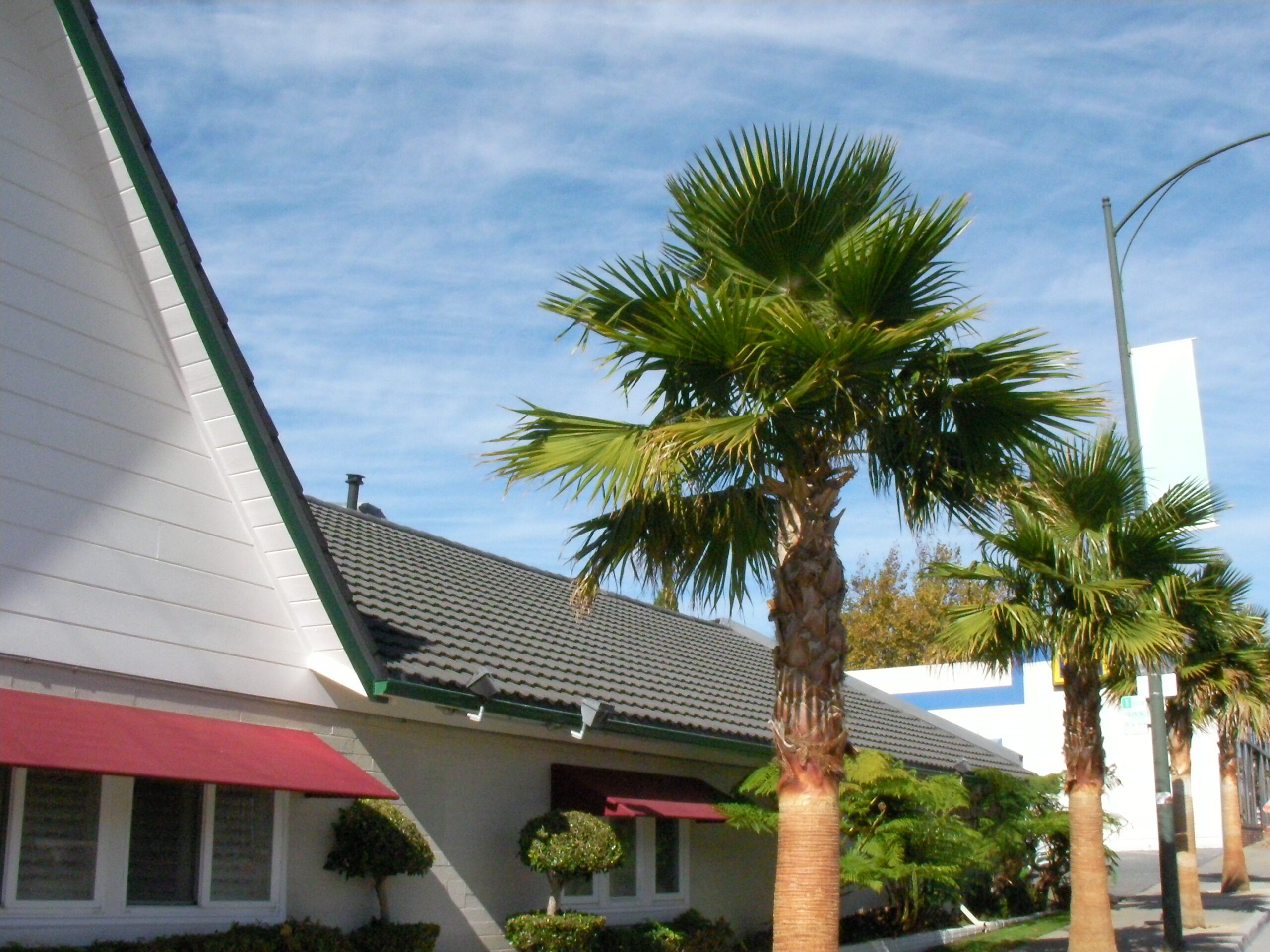 Chapel of the Highlands exterior with palm trees along El Camino Real