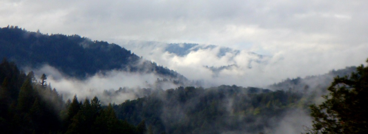 Misty forested hills